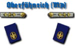 Oberfähnrich zur See Marineartillerie