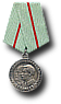 Partisan des Vaterländischen Krieges 1. Klasse