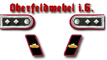 10-Oberfeldwebel