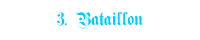 3Bat
