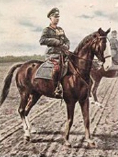 Bild 2 Generaloberst Freiherr von Fritsch
