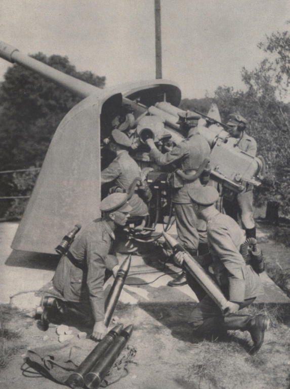 3 Forenbildarchiv