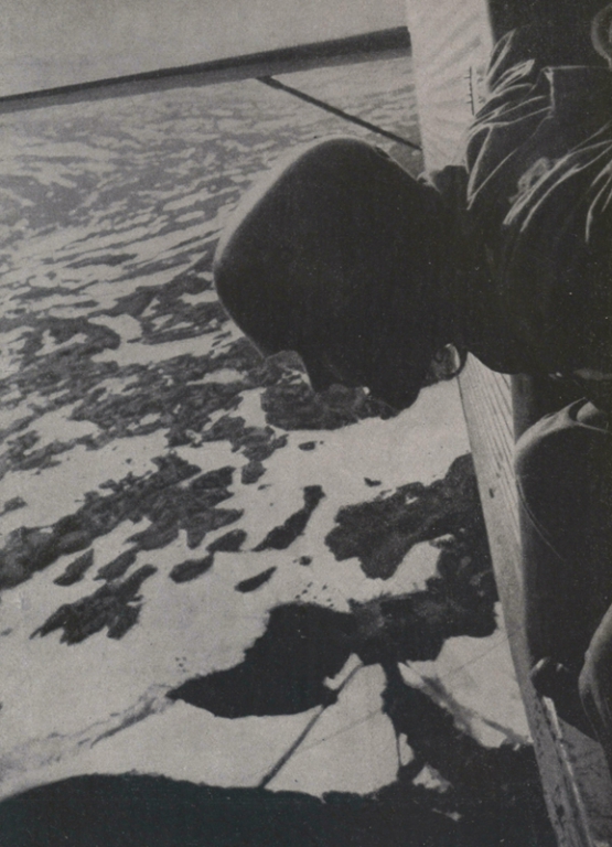 4 Narvik FJ Forenbildarchiv