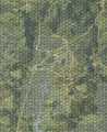 Terrain
