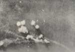 Bombardierung Flugzeugträger forenbildarchiv