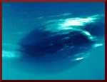 Neptune darkspot