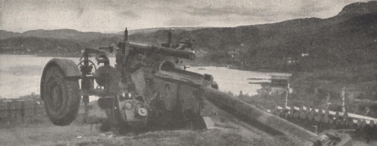 engl. Flak