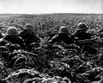 31a Rumänische Infanterie am Pruth
