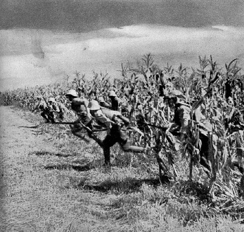 48b Rumänische Infanterie greift an