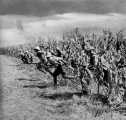 48b Rumänische Infanterie greift an