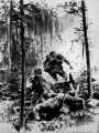 81 Bunker werden angegriffen sowjets