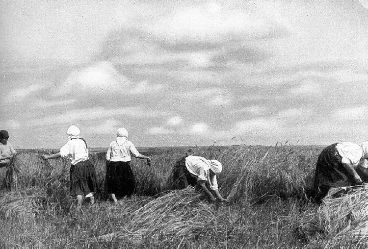 100a russische Bauern