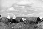 100a russische Bauern