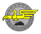 Division Kugelblitz