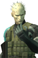 PythonFOX
