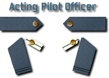 8-Acting Pilot Officer