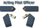 8-Acting Pilot Officer
