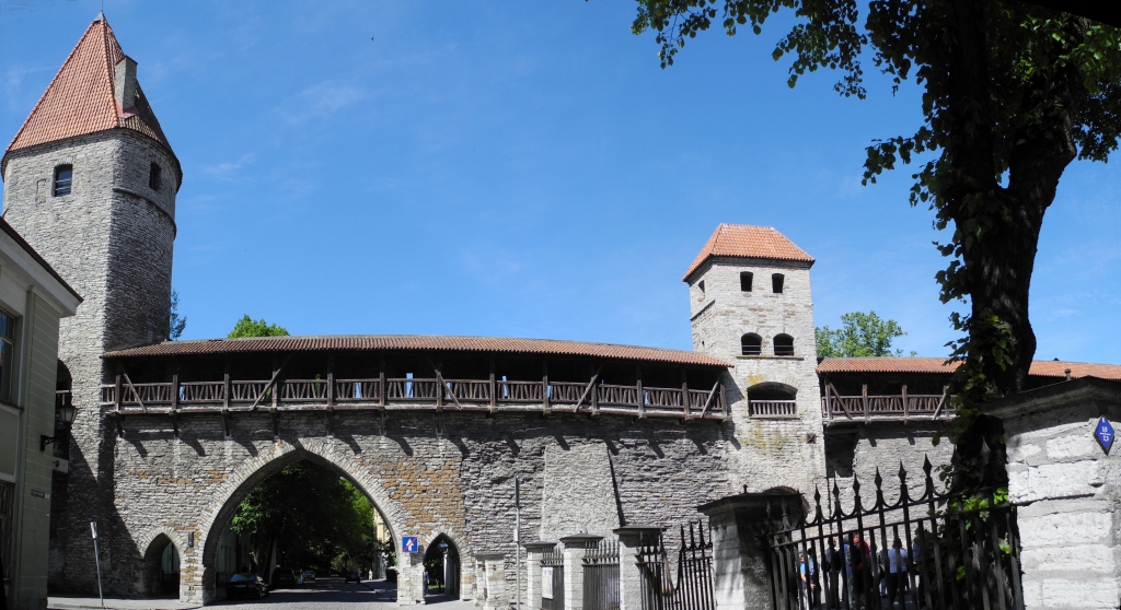 Tallin8768