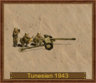 7,5 cm PaK 40, D-1943 Tunesien