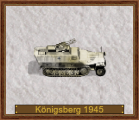 2 cm Fla-MG 151 auf Sd.Kfz.251-21 D-1945 Königsberg