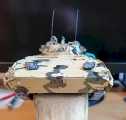Bild 454