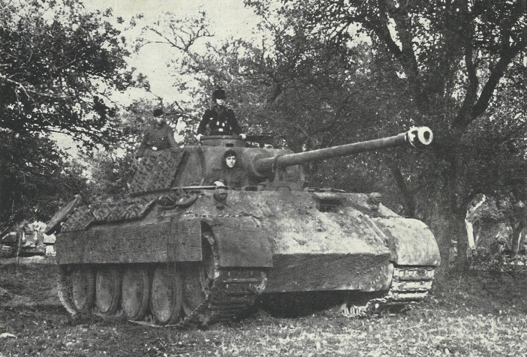 Bild 3 Panther-D-01