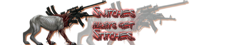 sigsnitches1