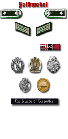Gebirgs-Division 1 Orden